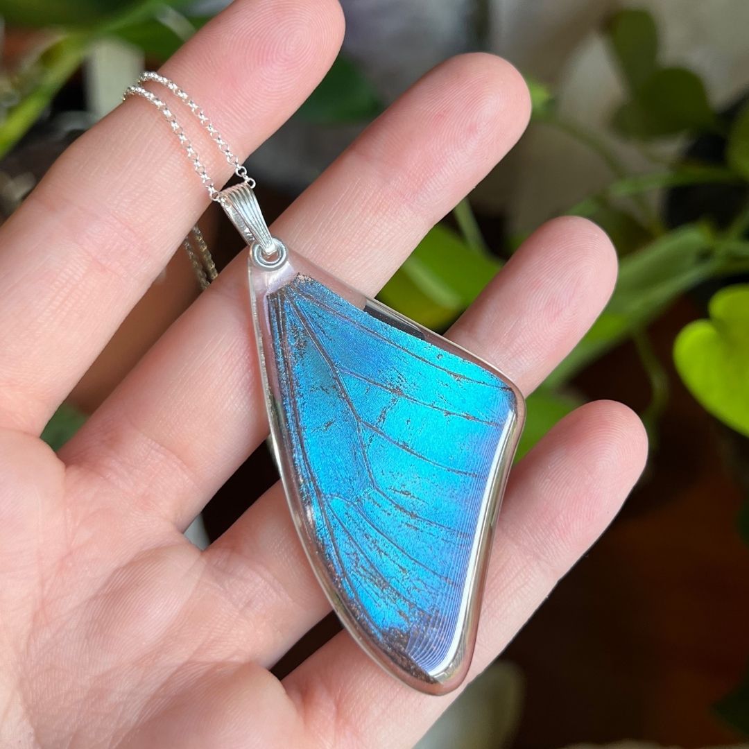 Blue Morpho Wing Necklace