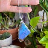 Blue Morpho Wing Necklace