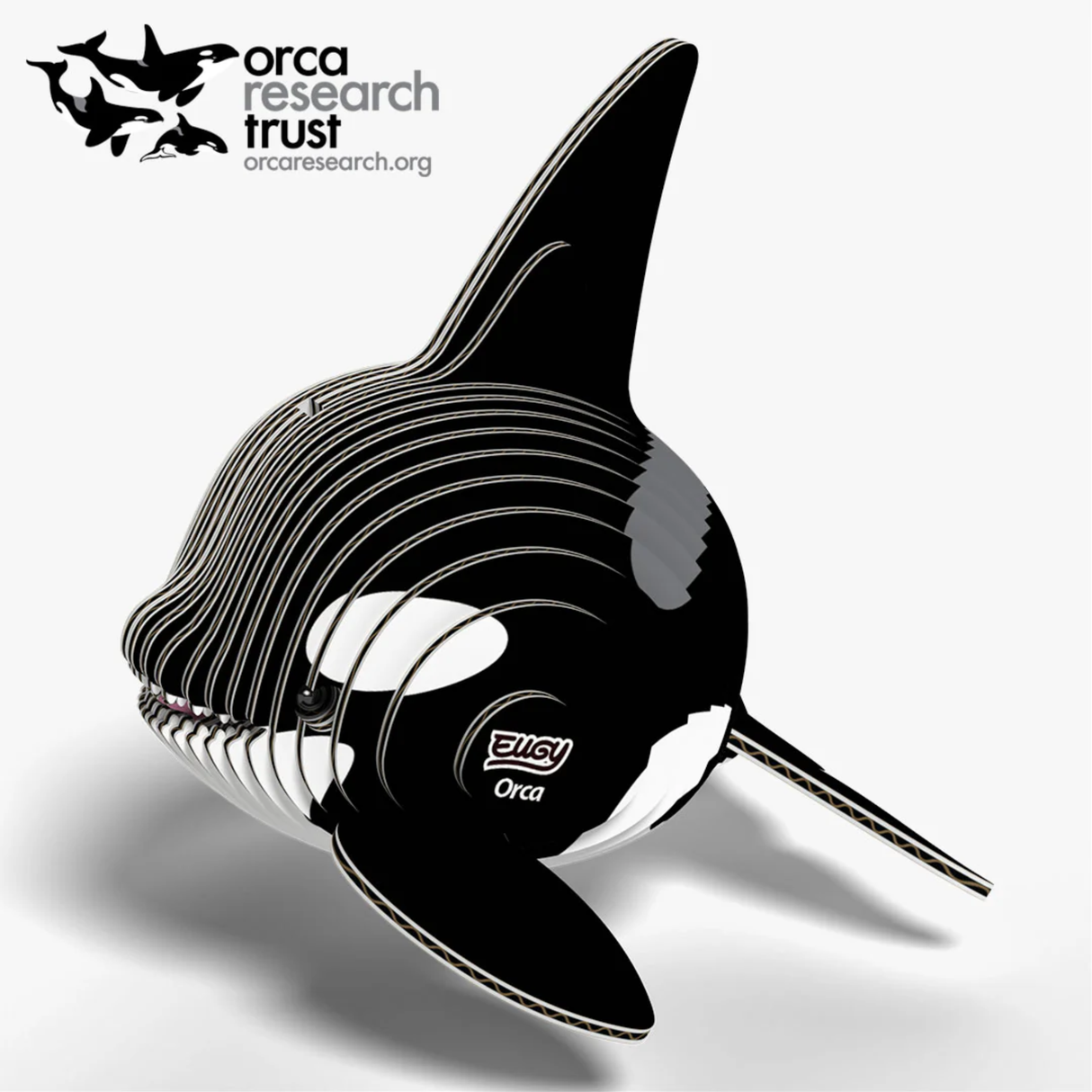 Orca 3D Model Kit