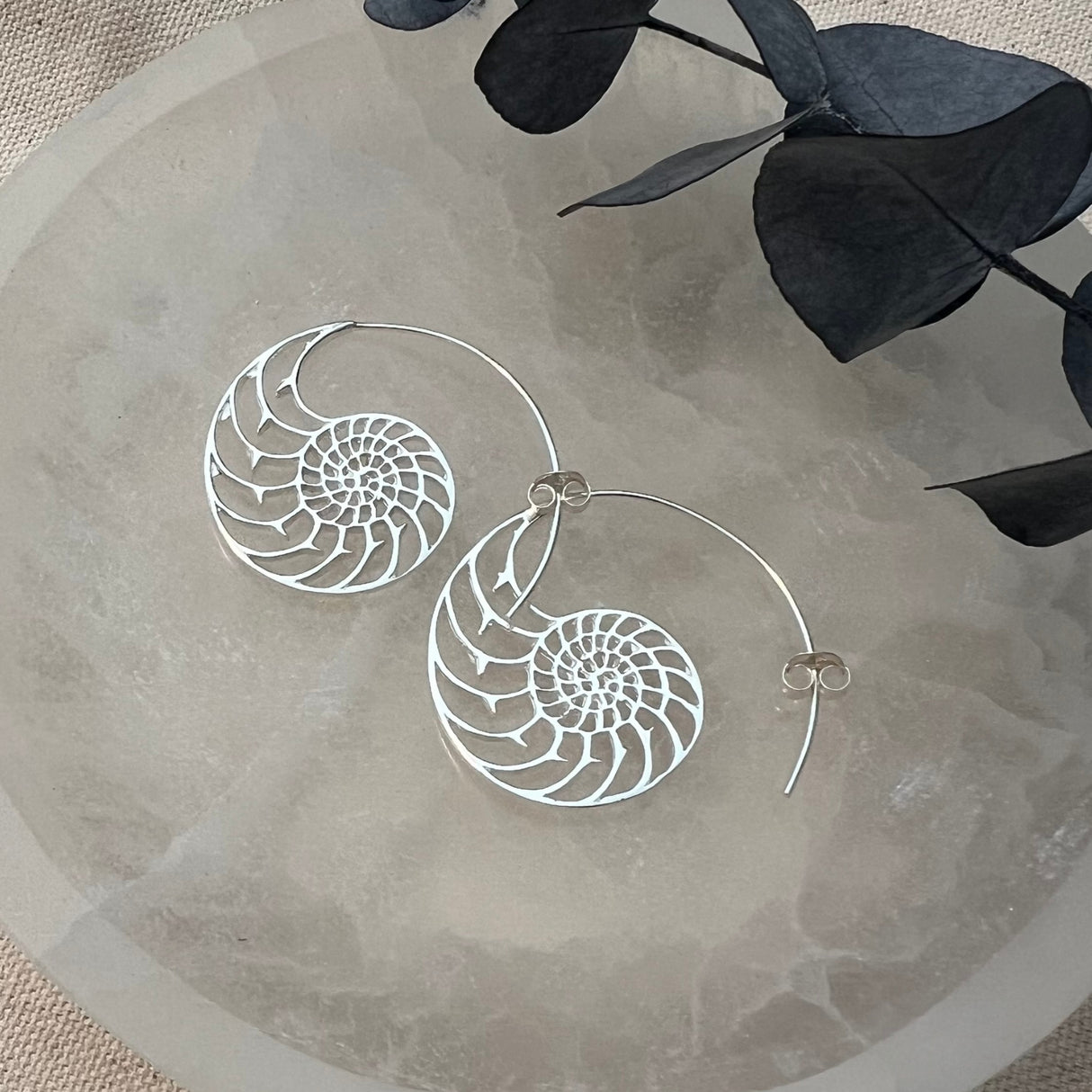 Ammonite Silhouette Earring - Sterling Silver